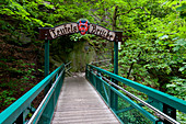 Teufelsbrücke, Bodetal, Wanderweg, Harz, Sommer, Tal, Wald, Sachsen-Anhalt, Deutschland