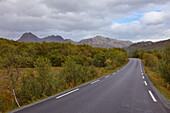 Strasse, Sommer, Berge, Flakstadoya, Lofoten, Norwegen, Nordland, Europa