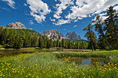 Antorno, Bergsee, Blumen, Brücke, Cadini Gruppe, Dolomiten, Alpen, Italien, Europa