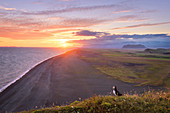 Sun, Sunset, Beach, Puffin, Klifandi, Dyrholaey, Iceland, Europe