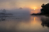 Sunrise in the Danube River, Lower Austria, Austria