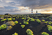 Leuchtturm Faro de Fuencaliente, Insel La Palma, Kanarische Inseln, Spanien