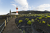 Leuchtturm Faro de Fuencaliente, Insel La Palma, Kanarische Inseln, Spanien