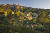 Banyalbufar, Mallorca, Balearic Islands, Spain