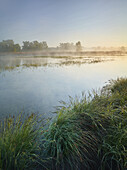 Donauauen, Lower Austria, Austria