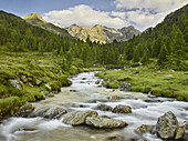 Debantbach, Debanttal, National Park Hohe Tauern, East Tyrol, Tyrol, Austria