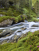 Debantbach, Debanttal, Nationalpark Hohe Tauern, Osttirol, Tirol, Österreich