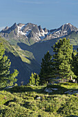 Blick vom Hirschbichl ins Defereggental, Totenkarspitze (3133m), Hohe Tauern, Osttirol, Tirol, Österreich