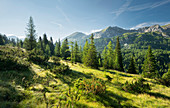 Gottschallalm, Radstädter Tauern, Salzburg, Österreich