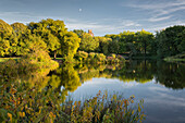 Turtle Pond, Central Park, Manhatten, New York City, USA