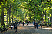 The Mall, Central Park, Manhatten, New York City, New York, USA