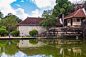 Shrine and Elephant Pond at Isurumuniya Vihara Temple, Sacred City of Anuradhapura, North Central Province, Sri Lanka, Asia.