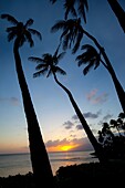 Sunset, Napili Bay, Maui, Hawaii