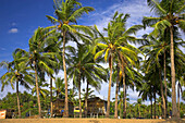 Beach huts among palm trees quiet Agonda Beach south Goa India.