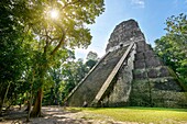 Temple V, Ancient Maya Ruins, Tikal National Park, Yucatan, Guatemala.