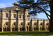 Cloisters in Salisbury Cathedral Wiltshire England.