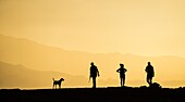 Las Palmas, Gran Canaria, Canary Islands, Spain. Dog walkers silhouetted at sunset on mountain ridge near Las Palmas, the capital of Gran Canaria.