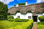 Row of white painted Thatched roof Cottages at Swan Green Lyndhurst in Hampshire England.