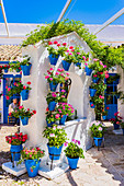 Courtyards Festival of Cordoba 2016 - La Fiesta de los Patios de Córdoba. In the list of Intangible Heritage of Humanity of Unesco since December 2012. Córdoba, Andalusia, Spain, Europe.