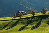 Autumn in Biosphere Entlebuch near Escholzmatt, canton of Lucerne, Switzerland.