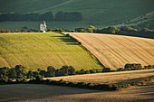 Late summer afternoon in South Downs National Park near Lewes, East Sussex, England.