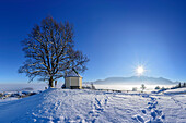 Verschneiter Baum und Kapelle mit Hochries im Hintergrund, Steinkirchen, Samerberg, Chiemgauer Alpen, Chiemgau, Oberbayern, Bayern, Deutschland