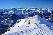 Woman backcountry skiing ascending towards Rotwand, Bavarian Alps in background, Rotwand, Spitzing, Bavarian Alps, Upper Bavaria, Bavaria, Germany