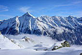 Zillertal Alps with view to Dristner and sea of fog in the valle, Nestspitze, Zillertal, Zillertal Alps, Tyrol, Austria