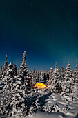 Lit tent amongst an evergreen and snow covered forest, Gakona, Southcentral Alaska, Winter