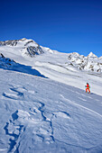 Woman backcountry skiing ascending towards Cima Marmotta, Zufallspitzen and Koenigsspitze in background, Cima Marmotta, valley Martelltal, Ortler range, Vinschgau, South Tyrol, Italy