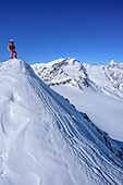 Frau auf Skitour steht auf Schneegrat und blickt auf Zufallspitzen und Königsspitze, Köllkuppe, Cima Marmotta, Martelltal, Ortlergruppe, Vinschgau, Südtirol, Italien