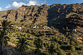 Kulturlandschaft, Terrassenfelder, Ferienhäuser, weiss, Palmen, oberes Valle Gran Rey, La Gomera, Kanaren, Kanarische Inseln, Spanien