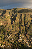 cultural landscape, palms, hill farm terraces, Valle Gran Rey, La Gomera, Canary Islands, Spain