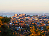 City skyline with the Castle viewed from the Blackford Hill, Edinburgh, Lothian, Scotland, United Kingdom, Europe