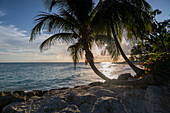 Maxwell Beach, Christ Church, Barbados, West Indies, Caribbean, Central America