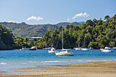 Yachts moored in the sheltered harbour, Ngakuta Bay, near Picton, Marlborough, South Island, New Zealand, Pacific