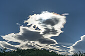 Wolken, Mistral, Hund, Provence, Frankreich
