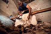 North Africa, Morocco, Fes district, Medina of Fes, Leather processing