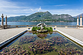 Water lily plants in the gardens of Villa Melzi d'Eril in Bellagio, Lake Como, Lombardy, Italy