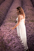Woman in a lavender field, Plateau de Valensole, Alpes, de, Haute, Provence, Provence, Alpes, C+¦te d'Azur, France, Europe