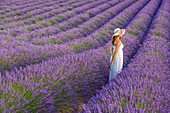 Woman with hat in a lavender field, Plateau de Valensole, Alpes, de, Haute, Provence, Provence, Alpes, Cote d'Azur, France, Europe