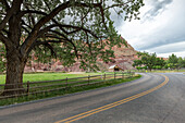 Tree and the old barn at Fruita ghost town, Teasdale, Capitol Reef National Park, Wayne County, Utah, USA