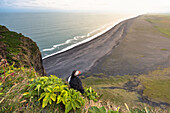 Dyrholaey, Vik i Myrdal, Southern Iceland, Puffins on top of the cliff