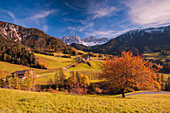 Santa Madgalena in Funes, South Tyrol region, Trentino Alto Adige, Bolzano district, Italy, The little village of Santa Magdalena in Funes with the Odle dolomites in the background