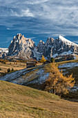 Alpe di Siusi/Seiser Alm, Dolomites, South Tyrol, Italy, Autumn colors on the Alpe di Siusi/Seiser Alm with the Sassolungo/Langkofel and the Sassopiatto/Plattkofel in background
