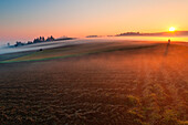 Alexandria hills, Piedmont, Italy, A plowed field with a pretty fog above it, a man walking in the path