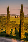 Europe, Italy, Vitaleta Chapel in Orcia Valley, province of Siena, Tuscany