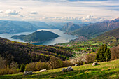 Europe, Italy, iseo Lake in province of Brescia