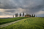 San Quirico d'Orcia, Tuscany, Italy, A farmhouse at sunset, during a stormy day