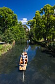 New Zealand, South Island, Christchurch, punting on the Avon River.